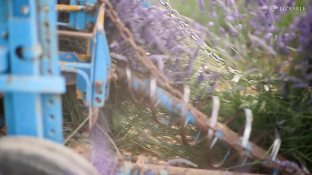 Liz Earle - Customer Success Story