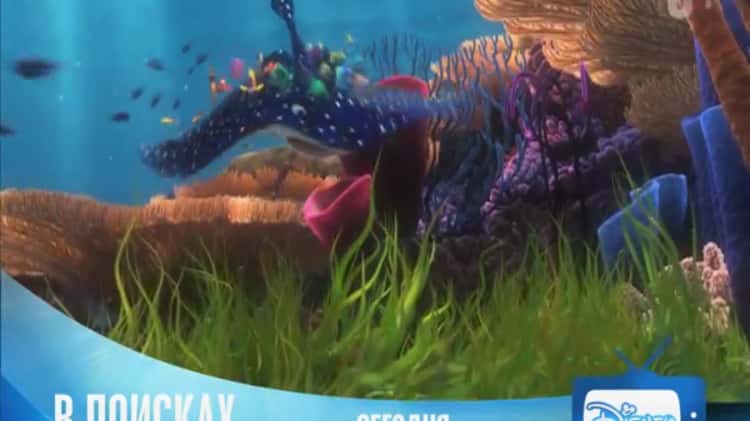В Поисках Немо» – Только На Канале Disney (1) On Vimeo