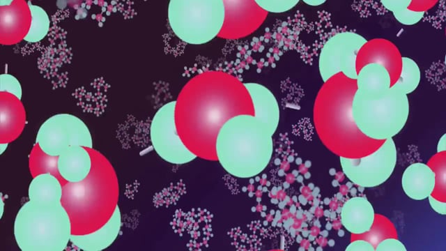 Cell Cycle