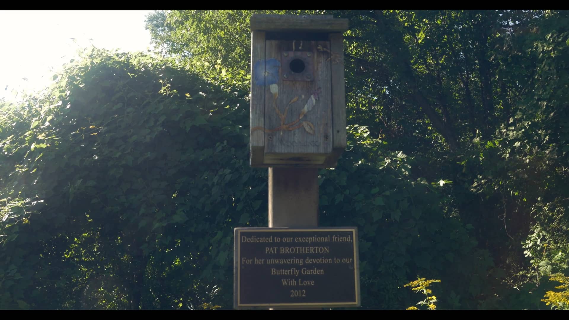 Allendale Celery Farm on Vimeo