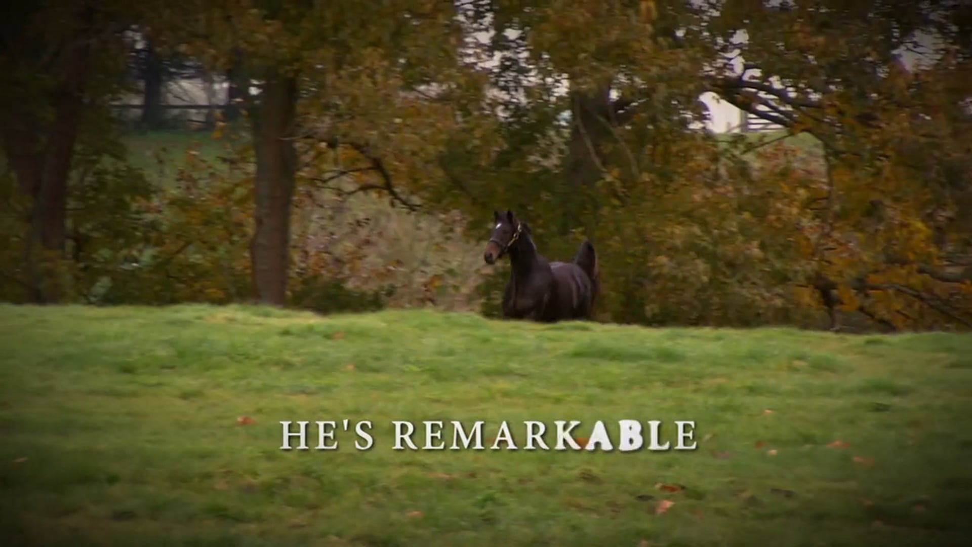He's Remarkable