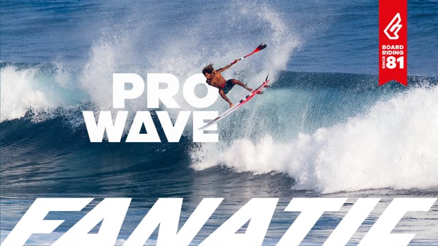 Fanatic ProWave 2017
