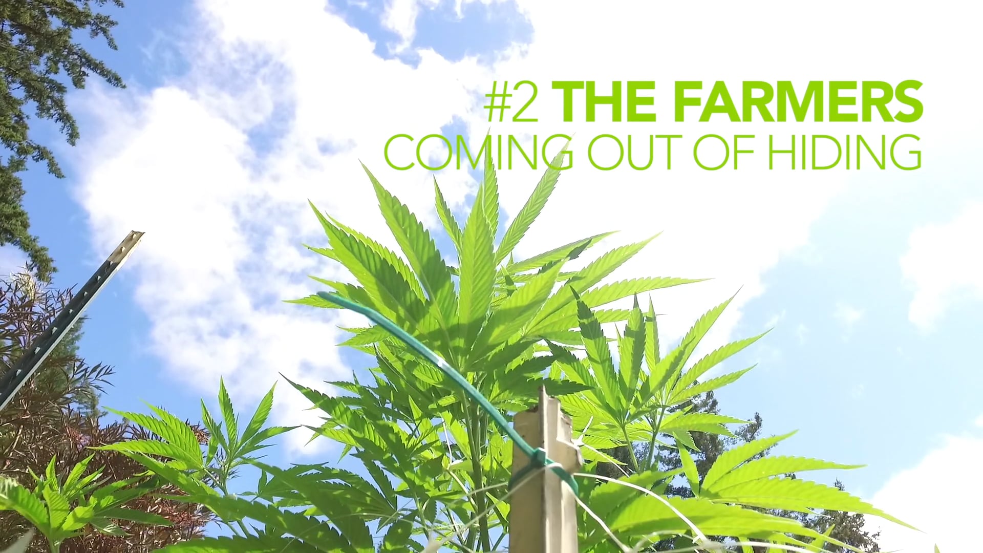 CCP: #2 Farmers - Coming Out of Hiding