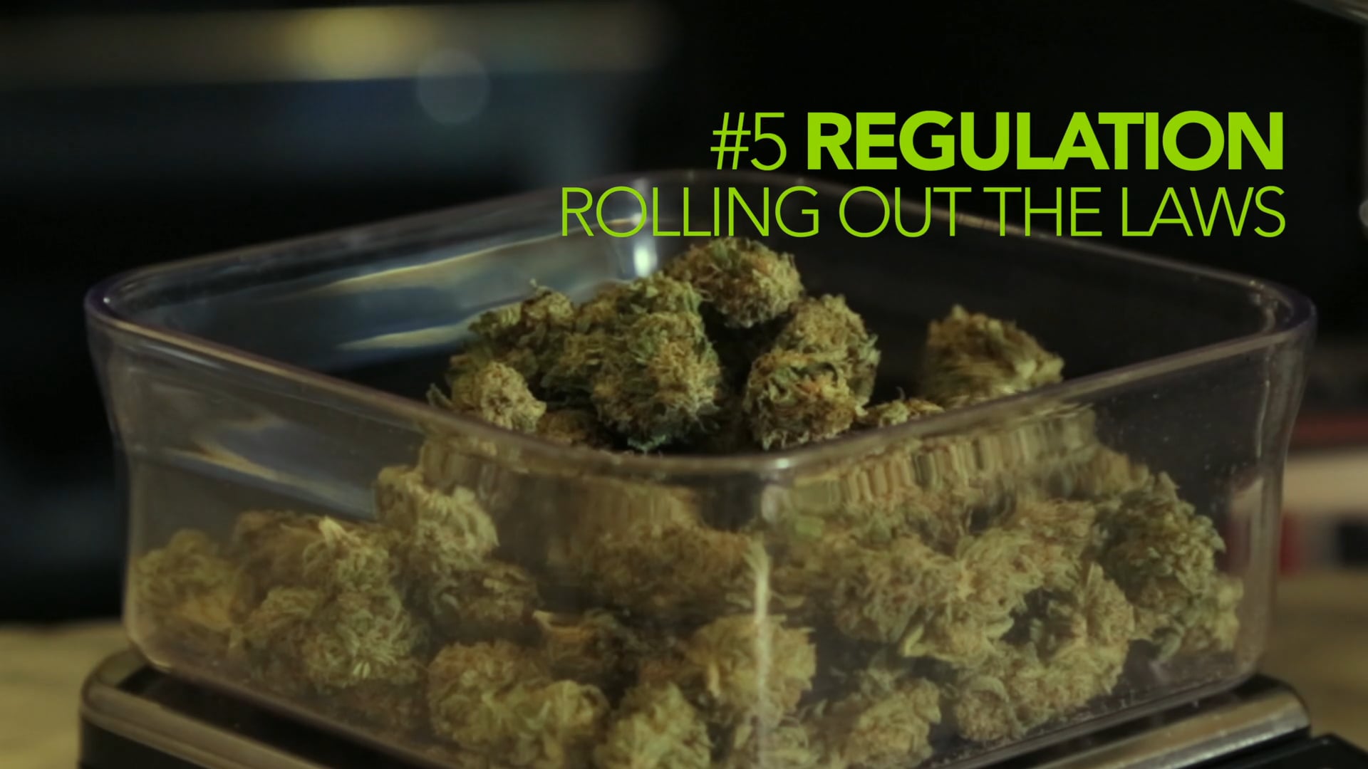 CCP: #5 Regulation - Rolling out the laws