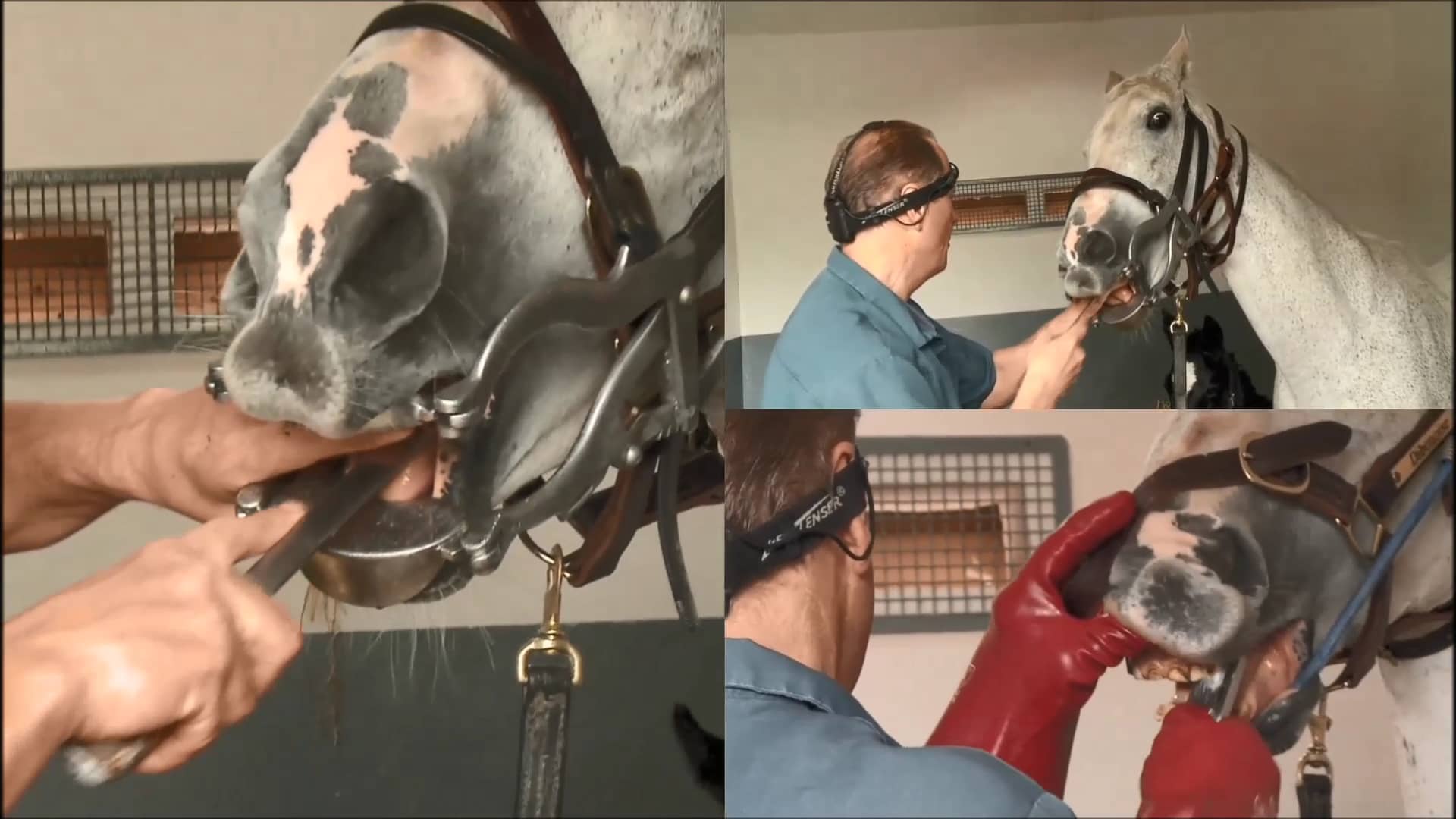 Behind The Gates Series The Dentist on Vimeo