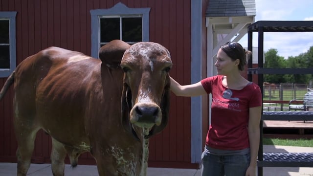 SASHA Farm