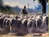 The Nature of Sheep ~ THE SEASON OF HIS APPEARING #2