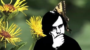 Indie Television Producers