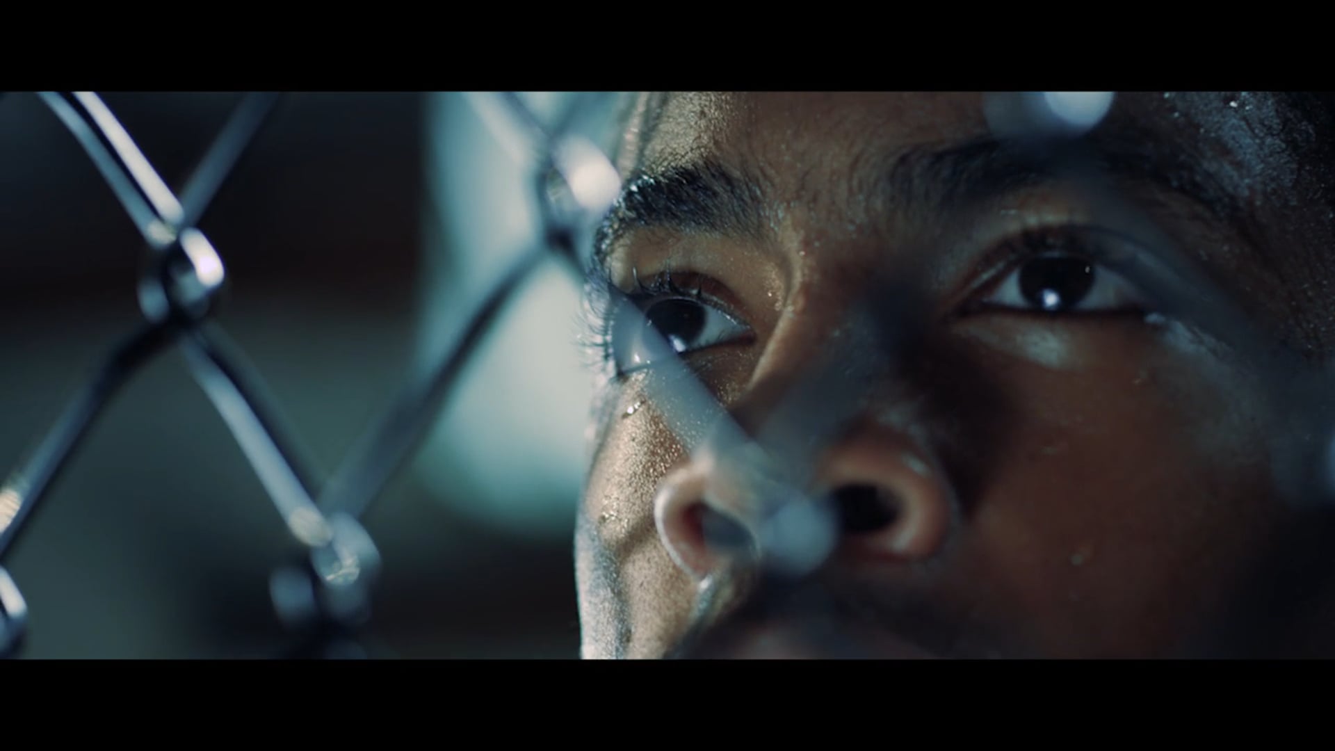 Anderson "The Spider" Silva