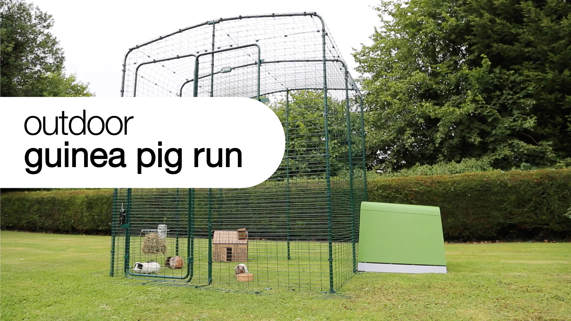 Diy outdoor best sale guinea pig run