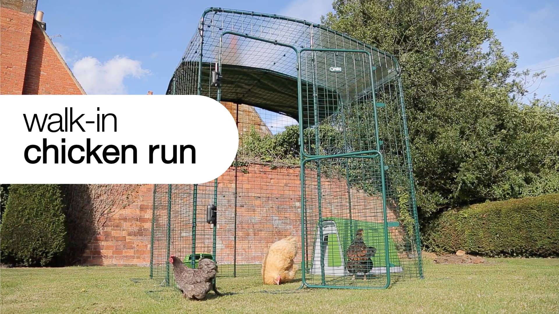 Omlet Walk In Chicken Run on Vimeo