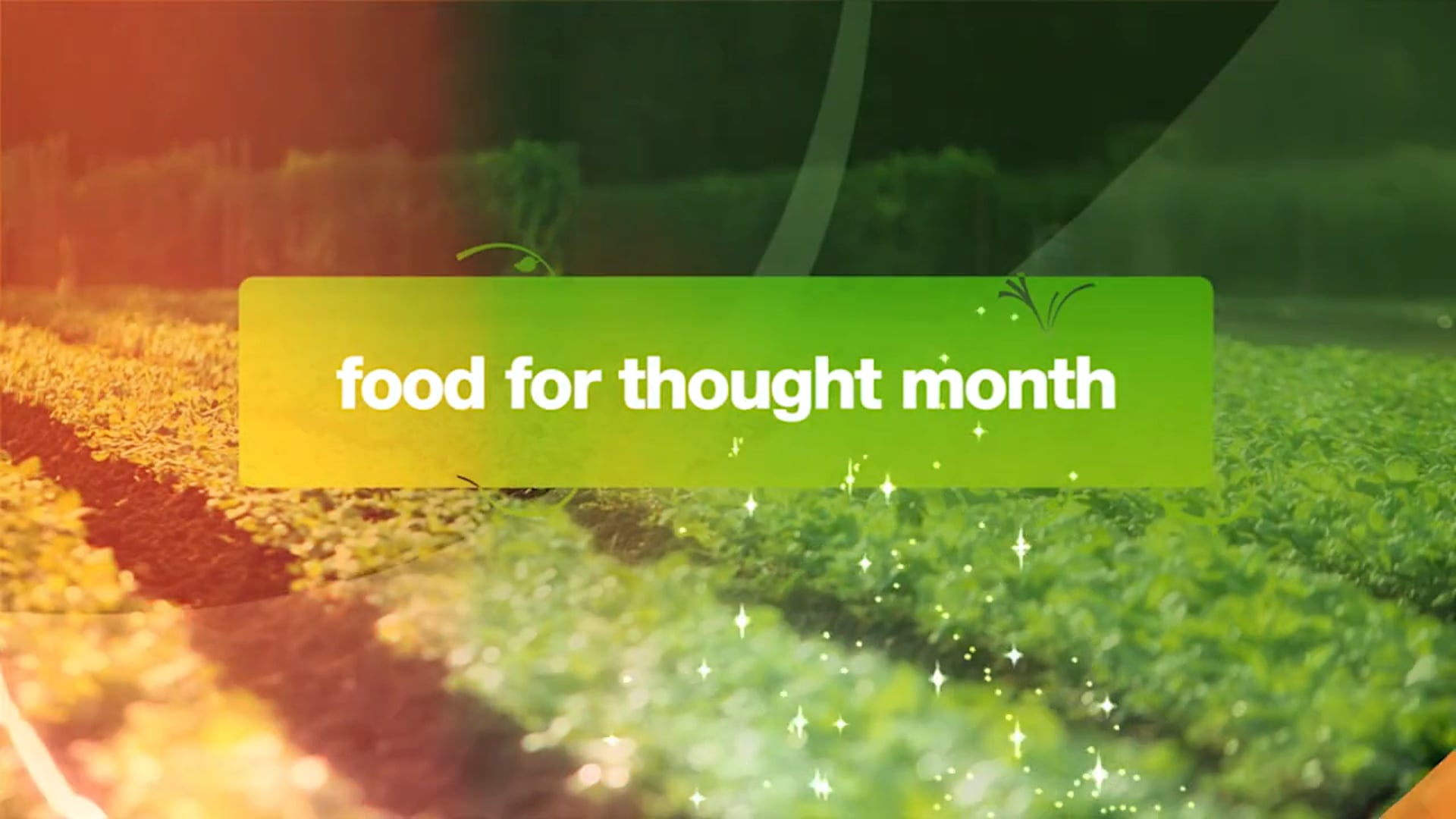 "Food For Thought" - Campaign