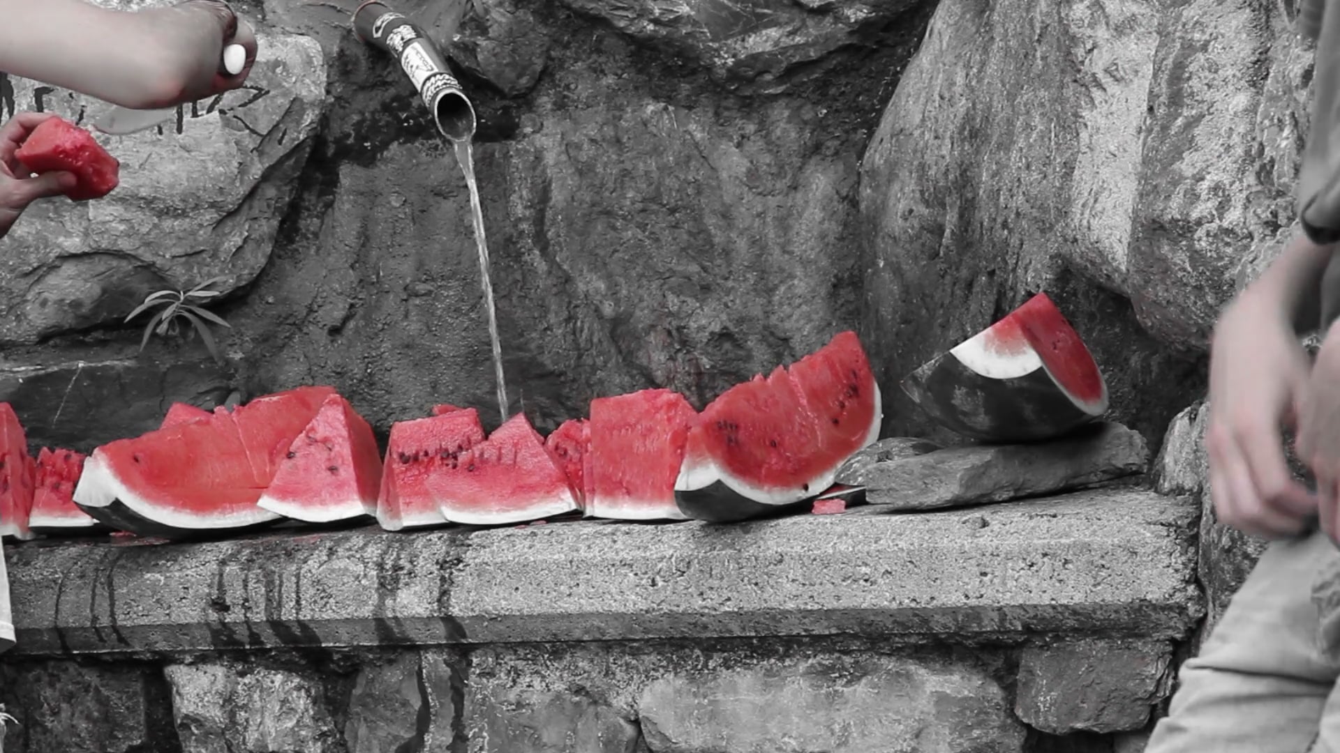 Watermelon Session