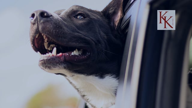 Home Safety with Jennifer Crichton