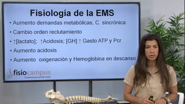 EMS Electroestimulación, ¿qué es, para qué sirve y dónde colocar