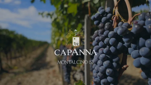 Brunello di Montalcino 2018  Capanna – Bottiglieria del Borgo