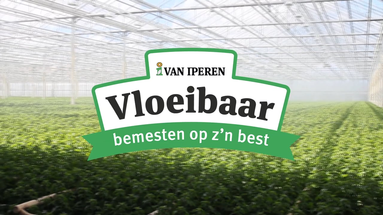 Vloeibaar bemesten op z'n best - Van Uffelen bloemen