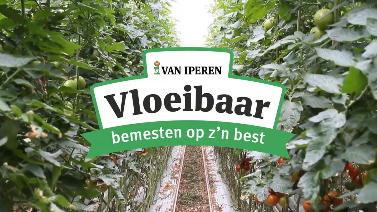 Vloeibaar bemesten op z'n best - Combivliet Tomaten