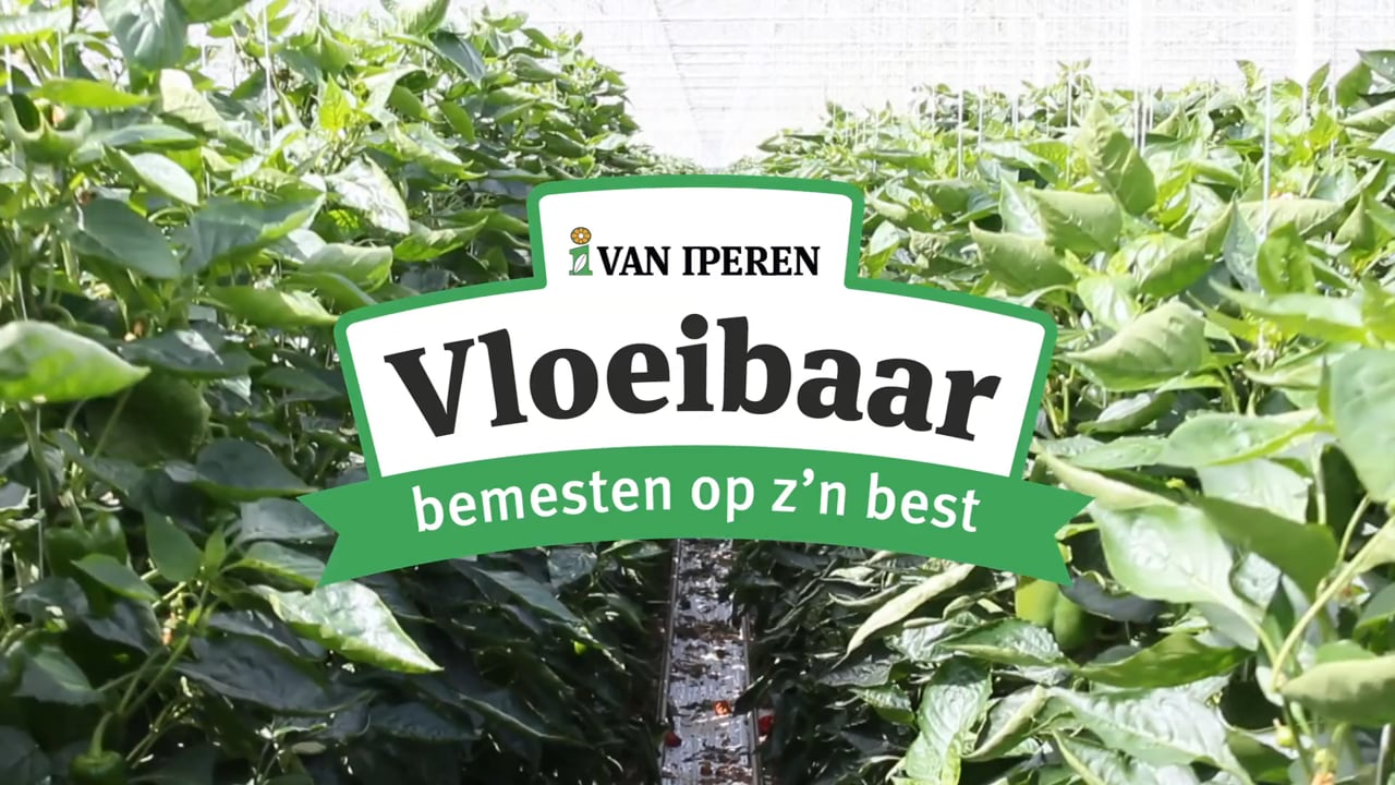 Vloeibaar bemesten op z'n best - Overgaag Paprika