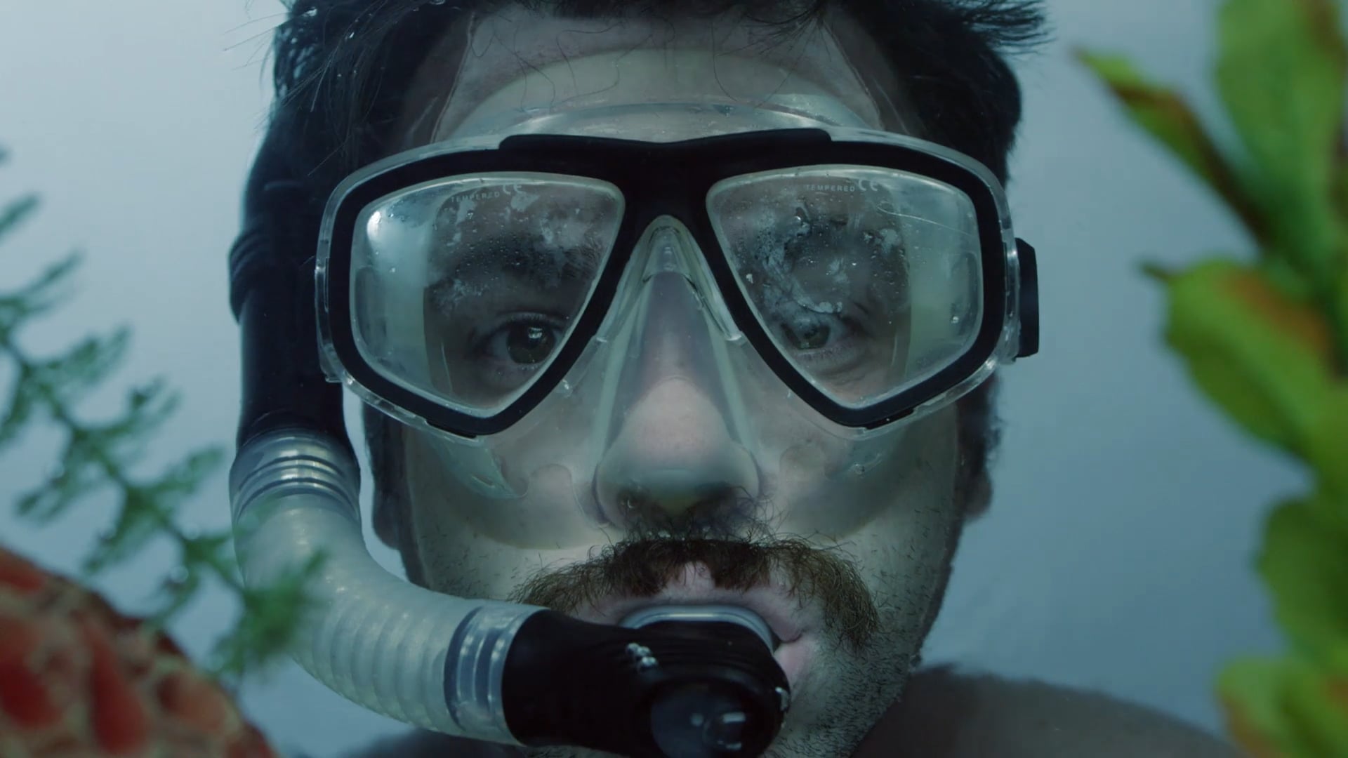 Priceline "DIY Scuba"