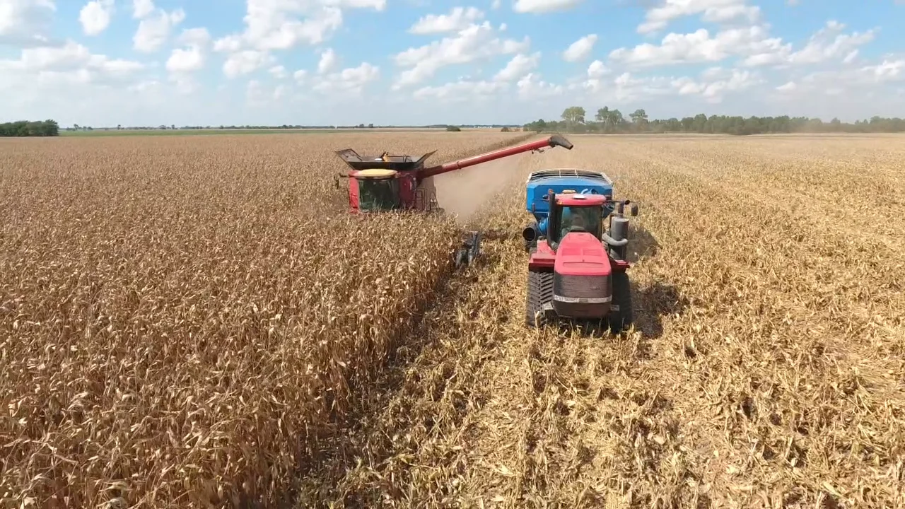 Harvest Home Farm (ASF) 2016 on Vimeo