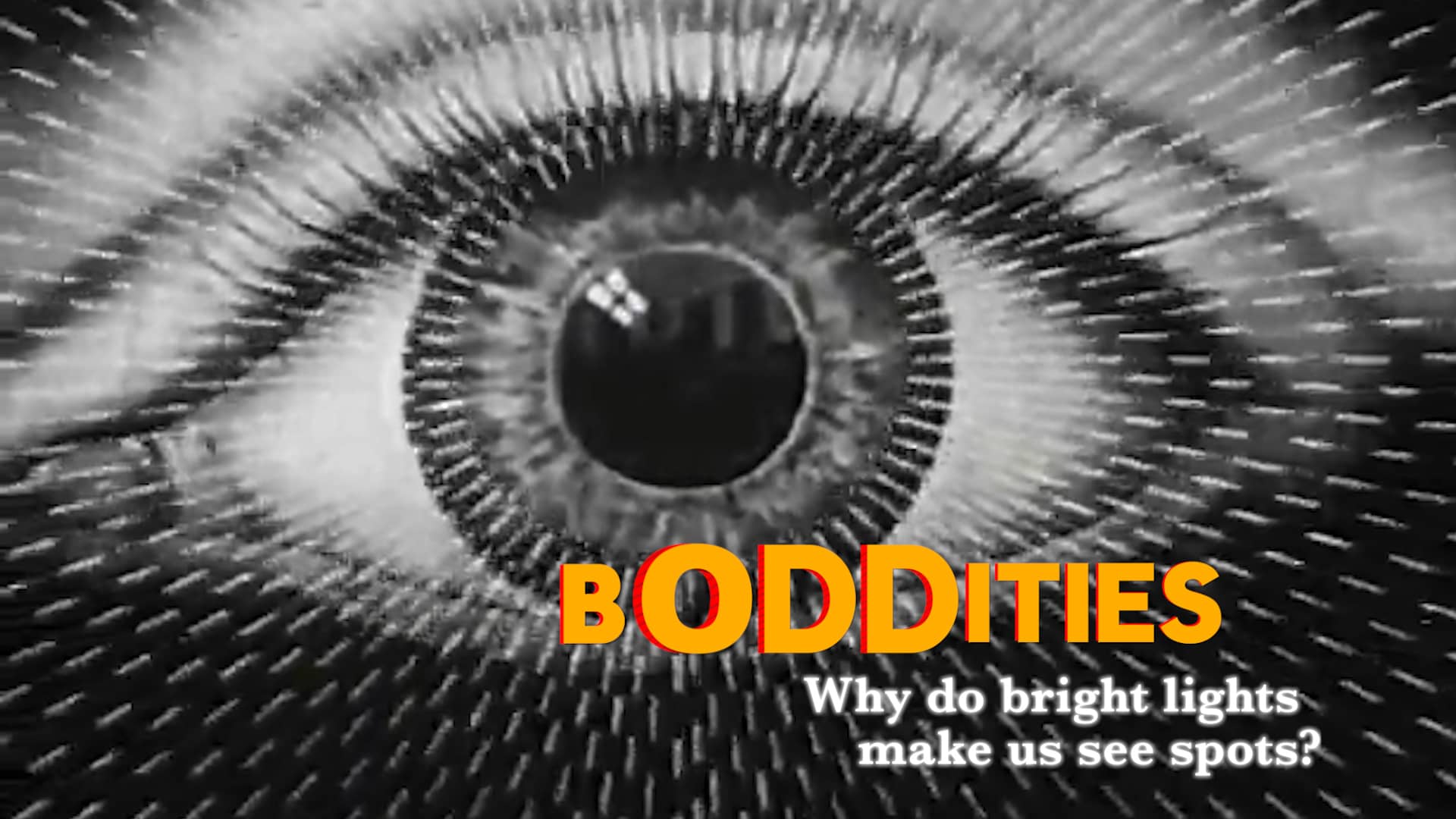 Boddities Episode 5 Why do bright lights make us see spots? on Vimeo