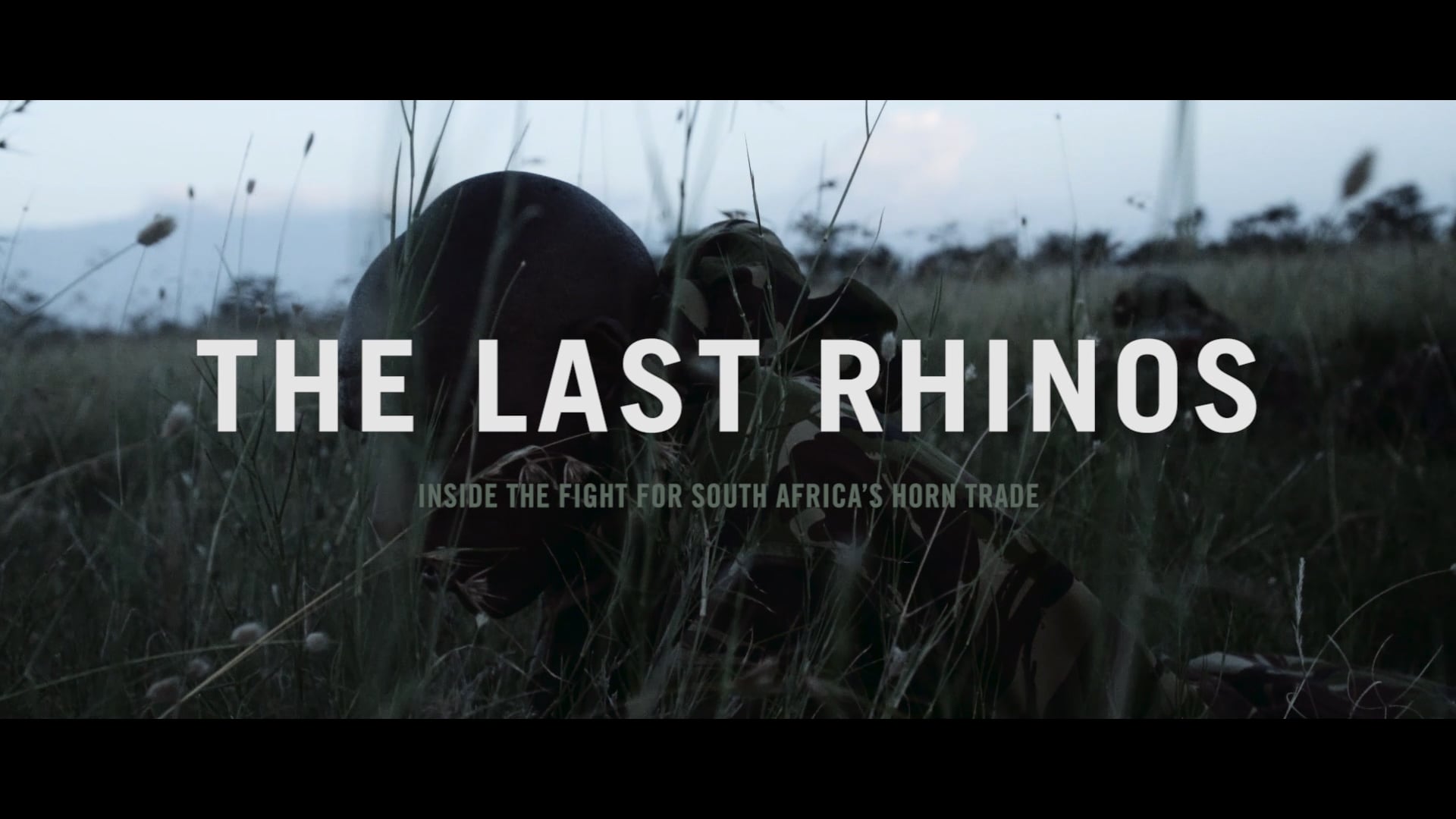 National Geographic - The Last Rhinos