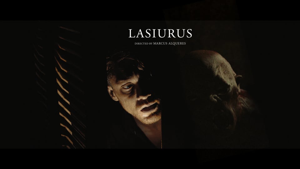 Lasiurus