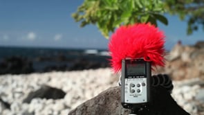 Zoom H4n Windscreen For Your Handheld Recorder with the Canon 5D Mark II and Joby Gorilla pod