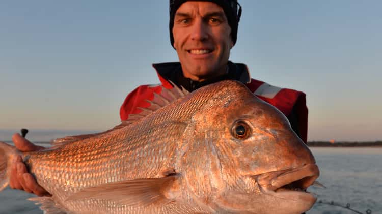 So You Want To Catch Snapper