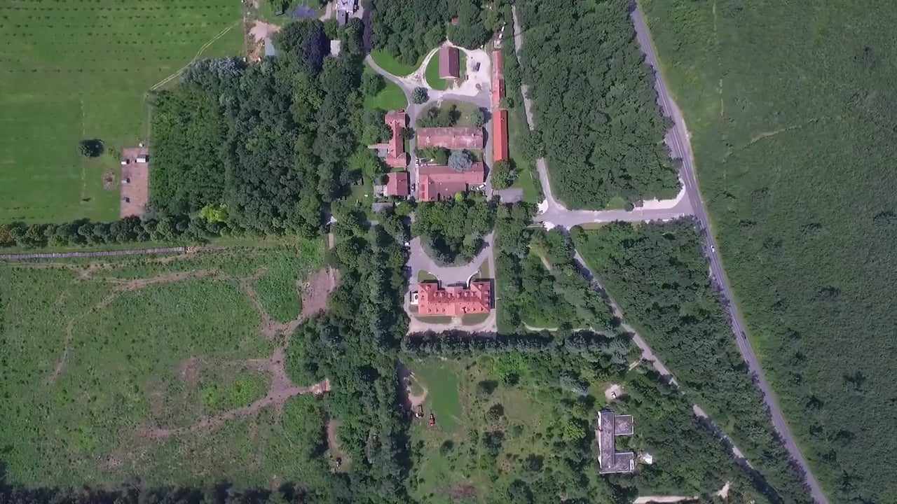 Judy and Matyi Wedding Party Video