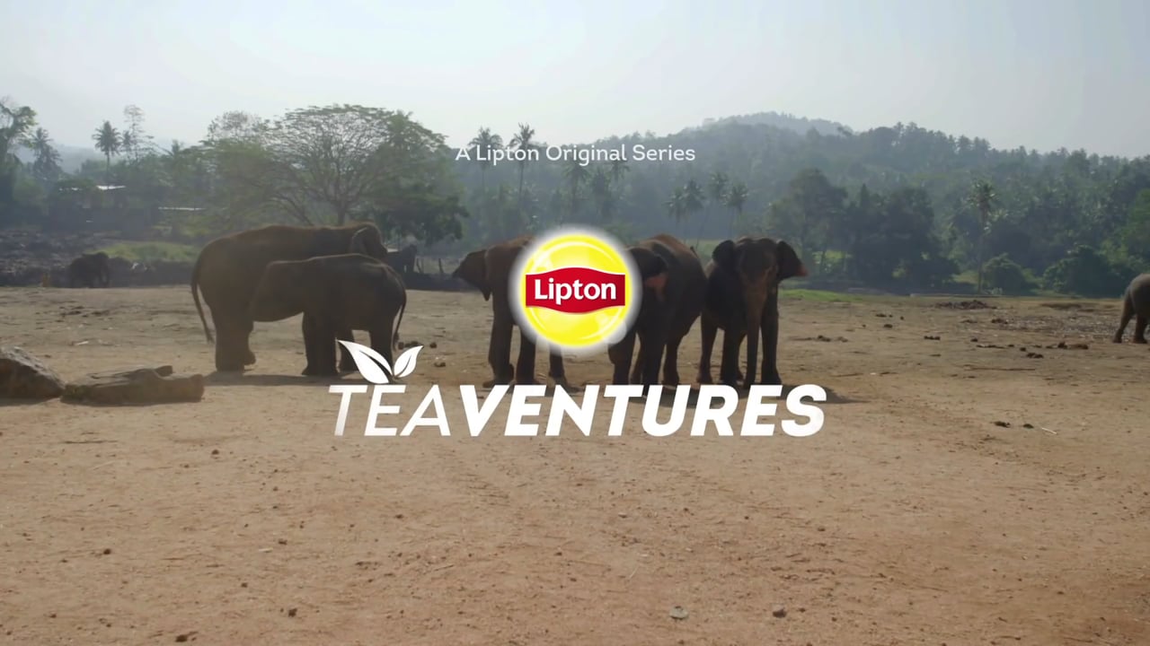 Lipton Teaventures — Ep 3: Giving Back