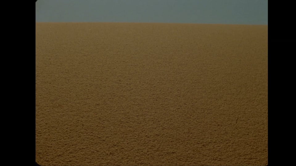 350 MYA