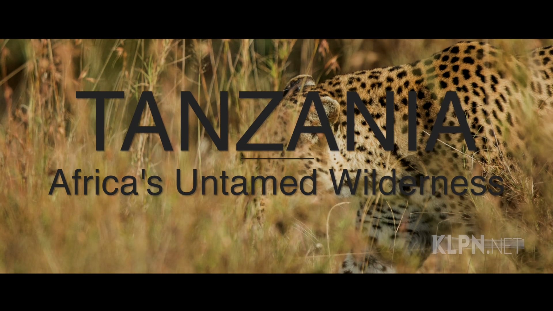 "Tanzania" Broadcast Trailer
