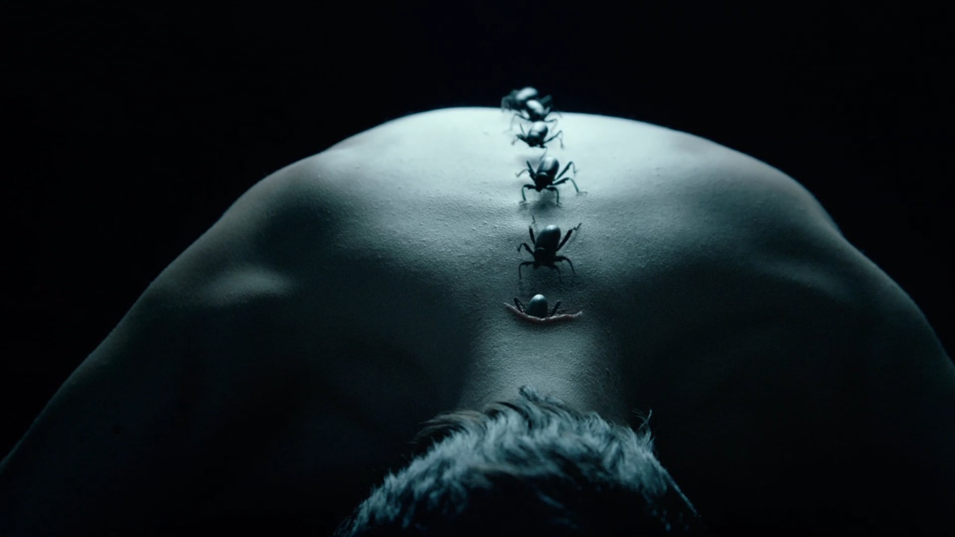 American Horror Story S6 - TV10 "Back Track"
