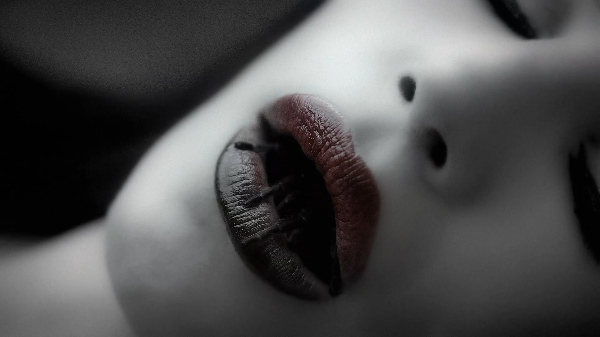American Horror Story S6 - TV15 "Bite Sized"