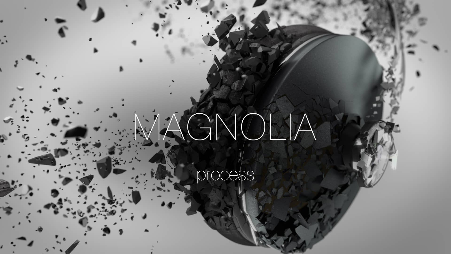 Magnolia Process On Vimeo 