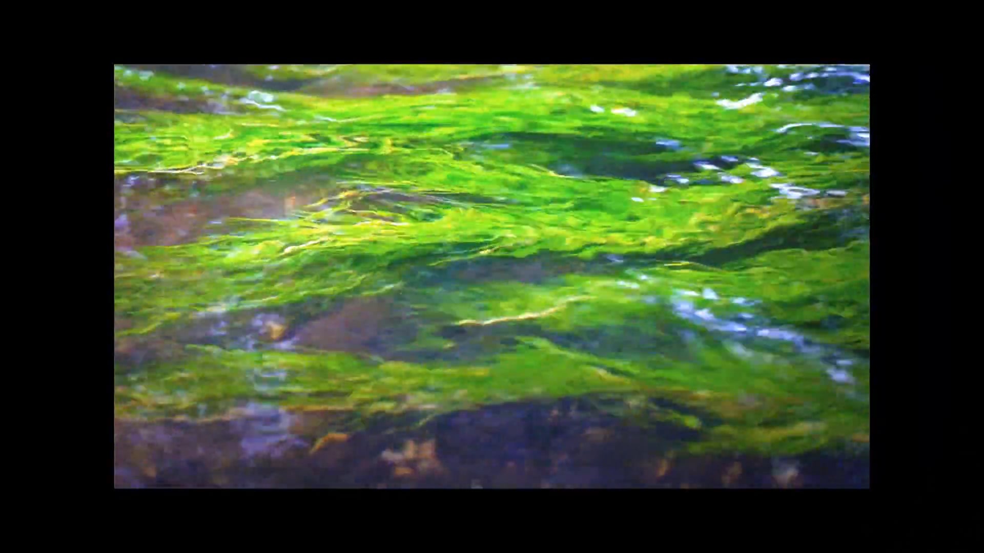 go with the flow on Vimeo