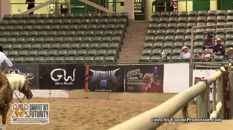 Step To The Light ridden by Justin T. Wright - 2016 NRCHA Snaffle Bit  Futurity (Rein Work - Open Prelims)