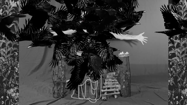 Birdmaker, 2016