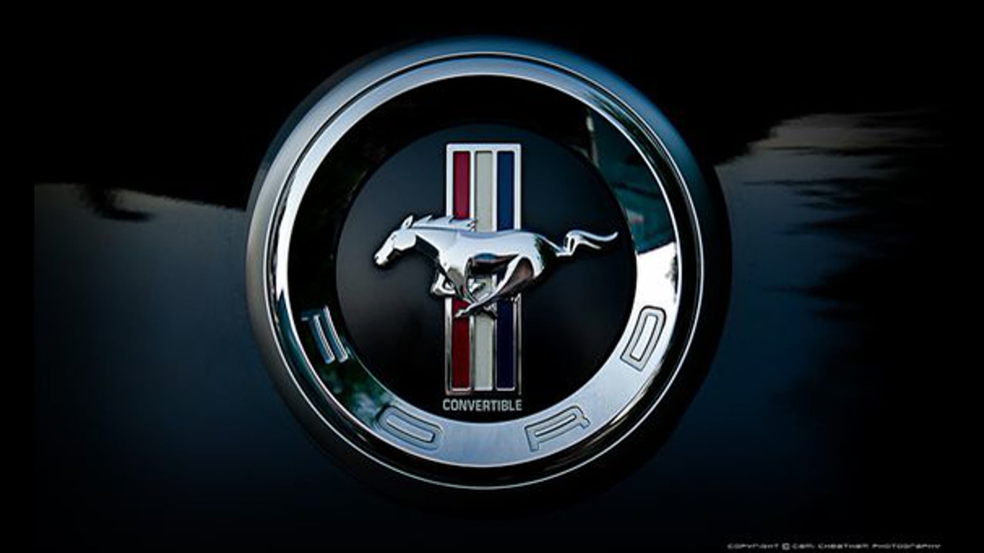 Mustang Commercial