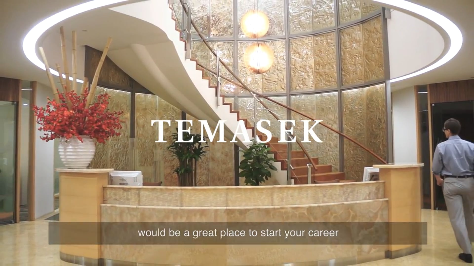 Working@Temasek- An Insider's Look