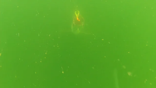 International Fishing News: VIDEO: hot underwater pike action while  trolling lure