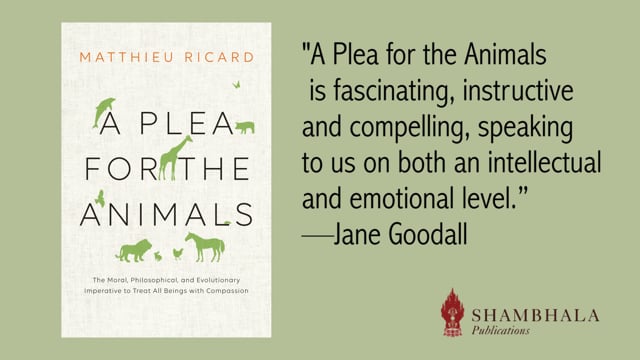 Matthieu Ricard on A Plea for the Animals - Shambhala Pubs