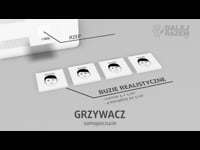 27 Grzywacz