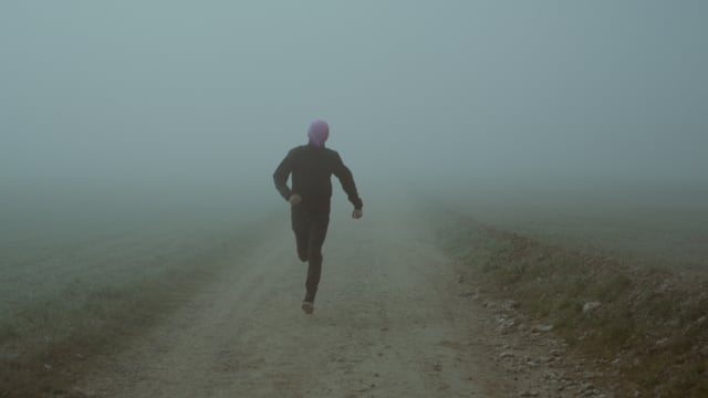 The Suicide Of Western Culture - Love Your Friends, Hate Politicians thumbnail