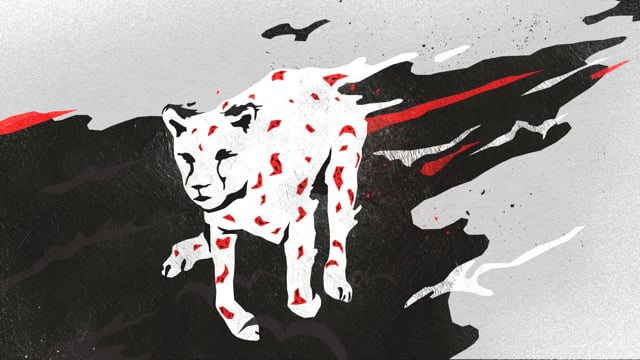 Puma Soccer - Customer Success Story