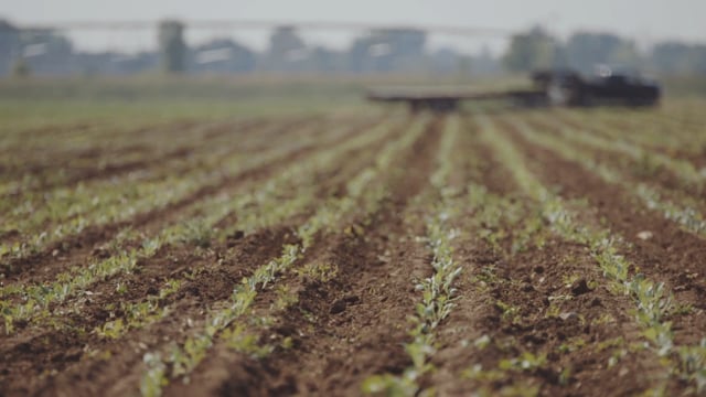 Colorado Fruit And Vegetable Growers Association - Customer Success Story