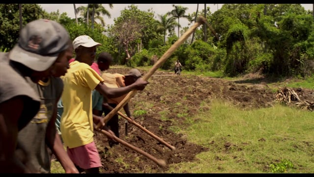 Stones in the Sun - Trailer