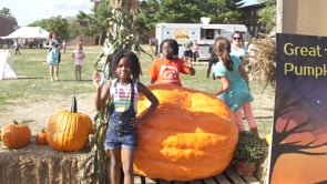 Community Moments - The Great Pumpkin Festival